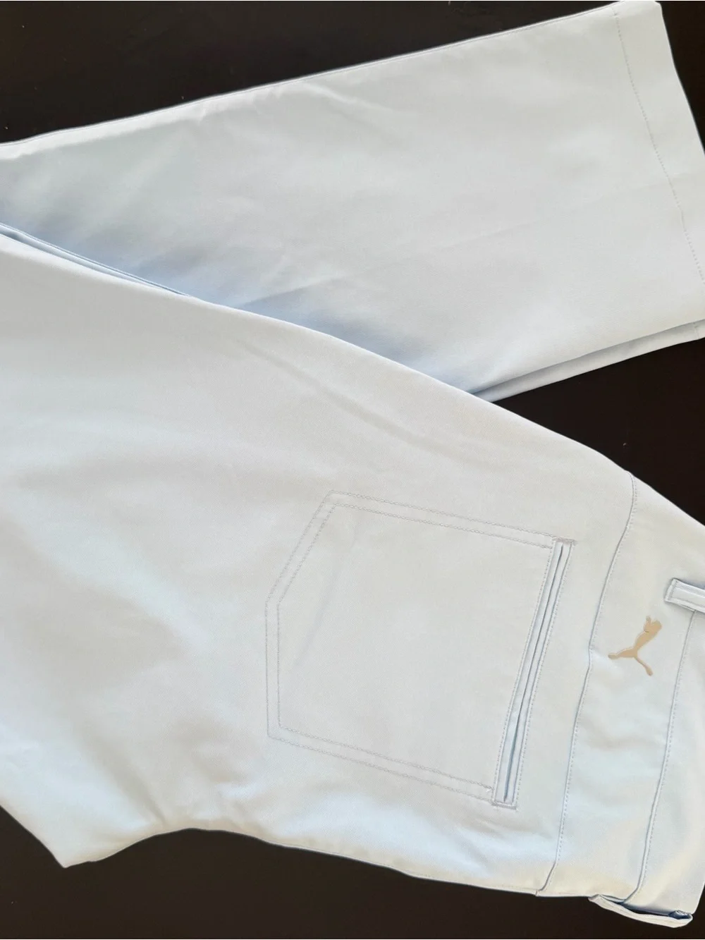Puma Men’s Blue golf pants